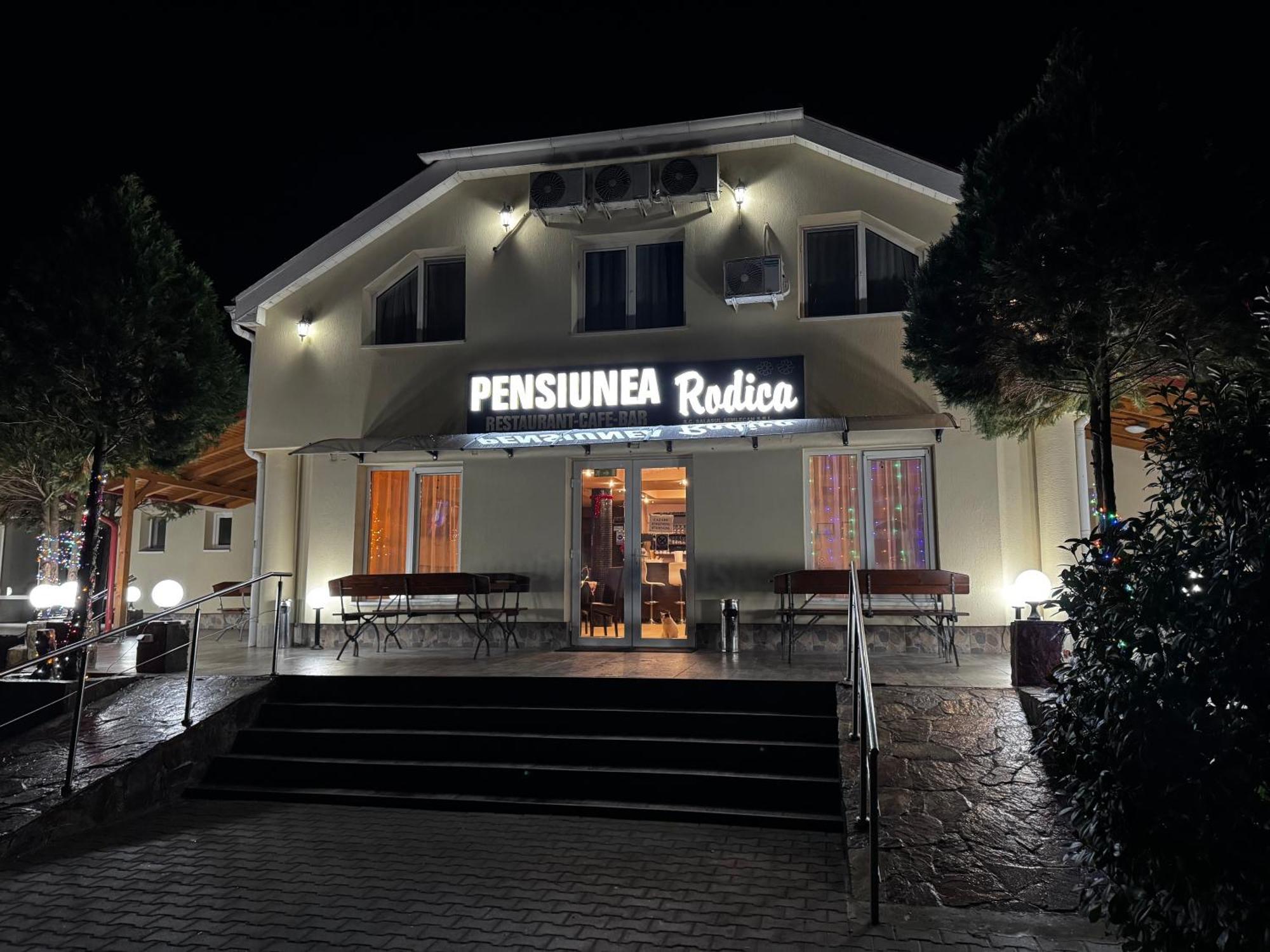 Pensiunea Rodica Nădlac Exterior foto